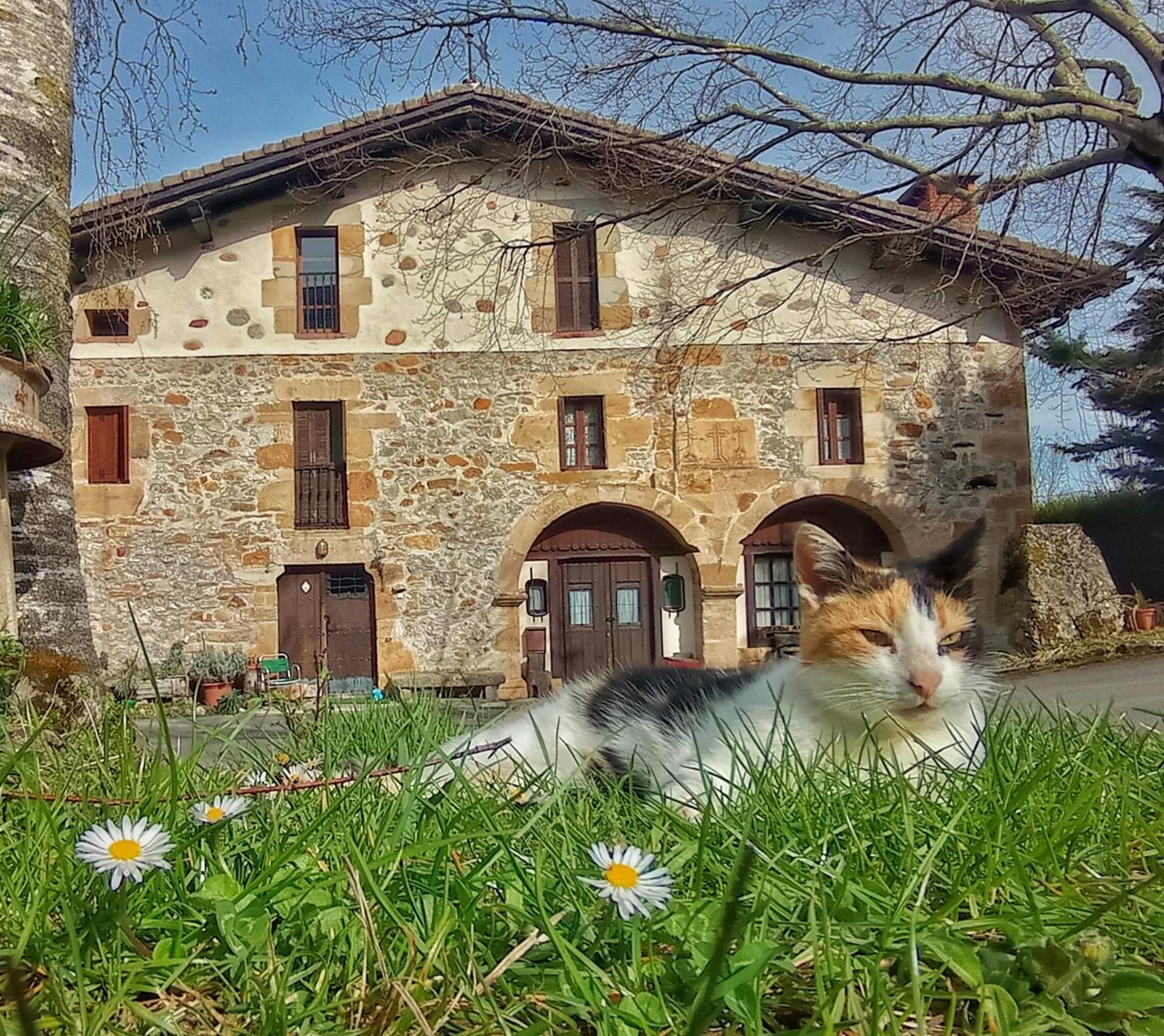 Escoriaza Casa Rural Areano מראה חיצוני תמונה