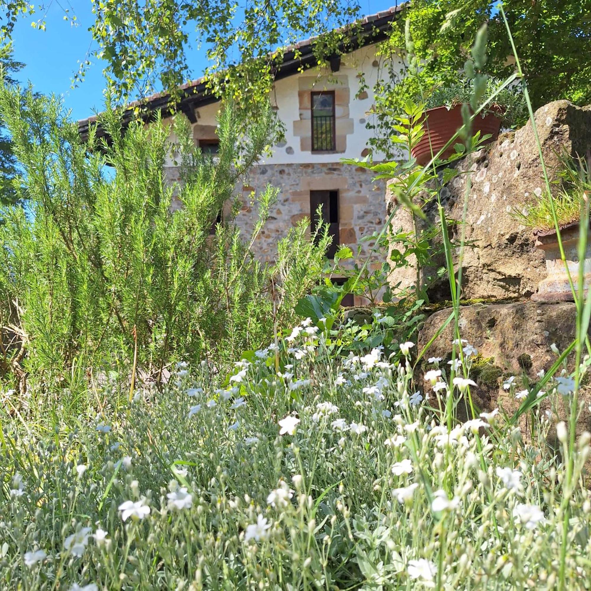 Escoriaza Casa Rural Areano מראה חיצוני תמונה